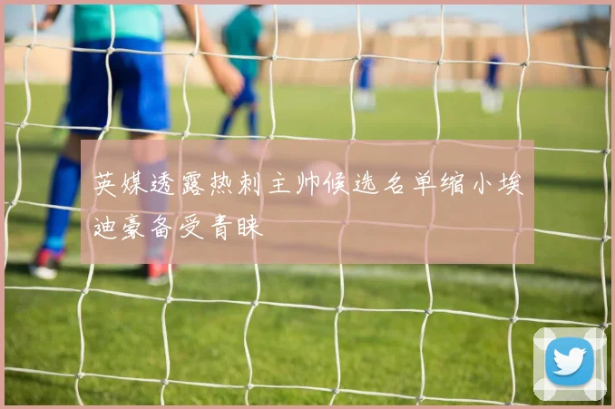 英媒透露热刺主帅候选名单缩小埃迪豪备受青睐